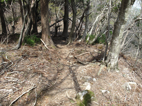 20140502hike (170)